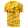 Goedkope Liverpool Doelman Third Shirt 2023-24 Goedkope Liverpool Doelman Third Shirt 2023-24